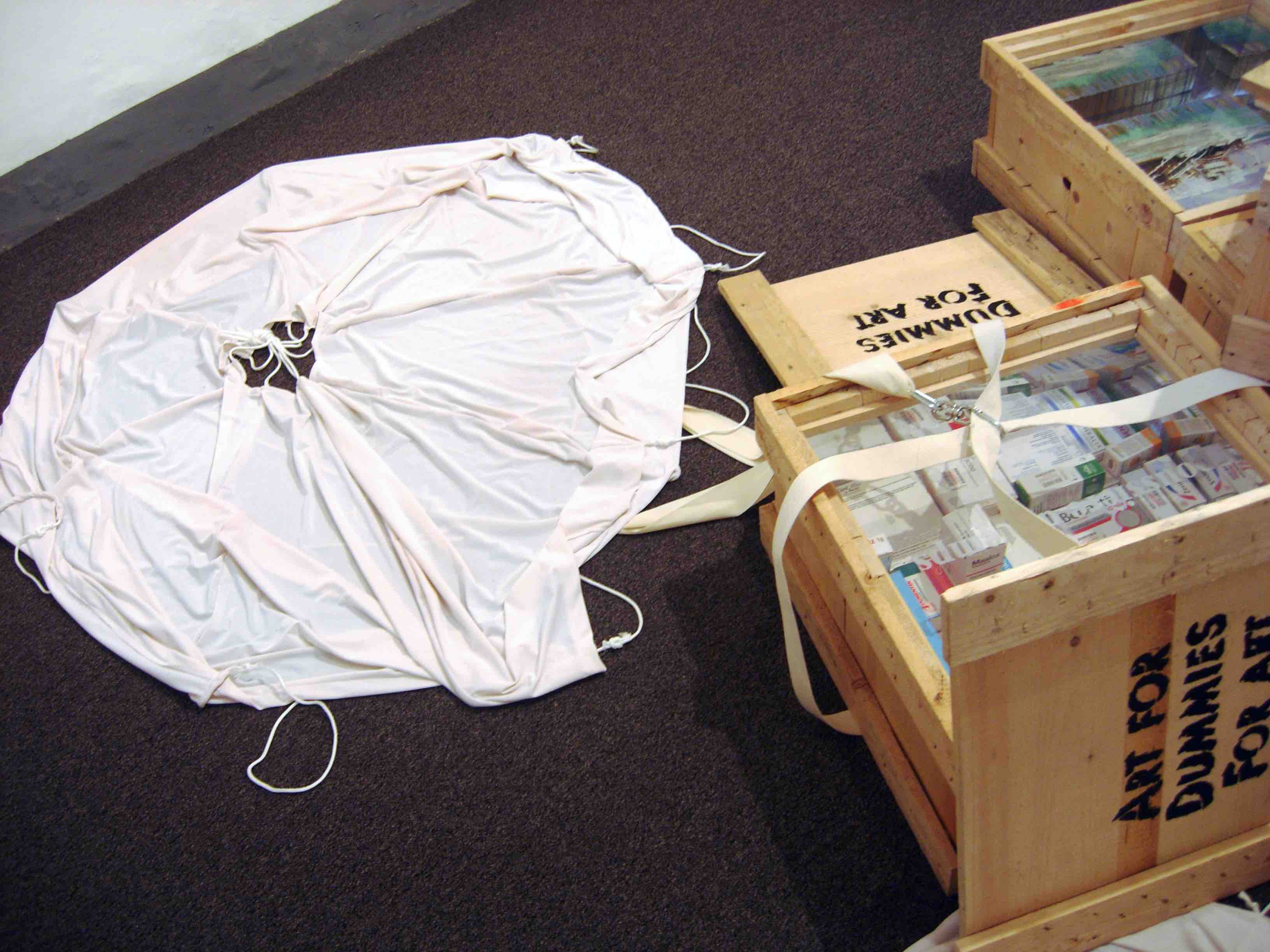leonardo pierro installation